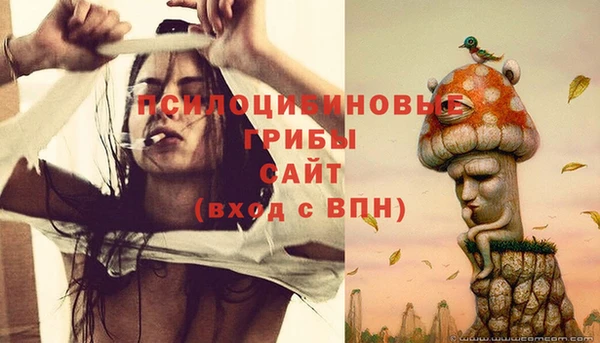 амф Богданович