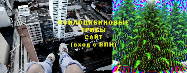 2c-b Богородицк