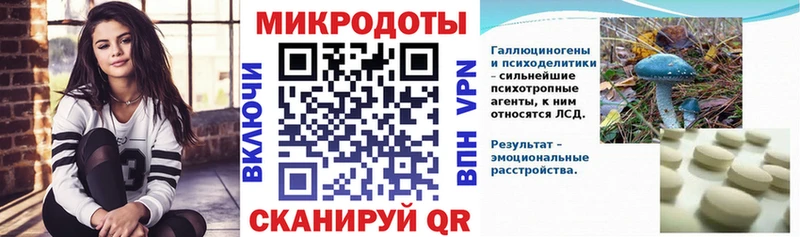 закладка  Кувандык  Псилоцибиновые грибы Psilocybine cubensis 